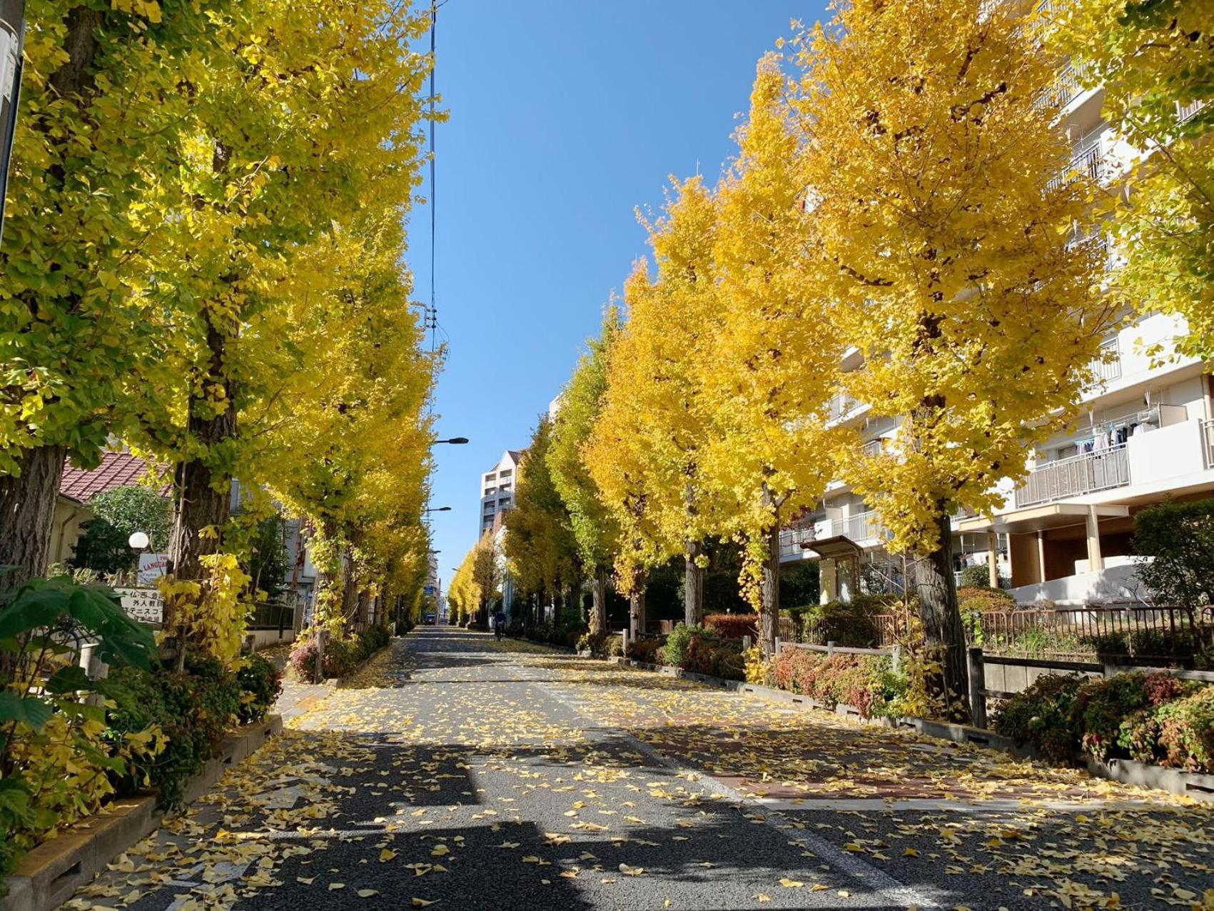 Rosenheim Tokyo Shinjuku Eksteriør billede